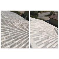 True Pressure Roof & Exterior Cleaning LLC  image 2